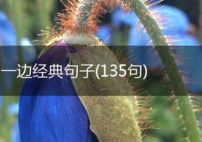 一边经典句子(135句)