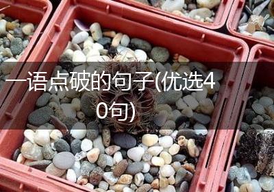 一语点破的句子(优选40句)
