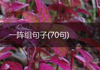 一阵组句子(70句)