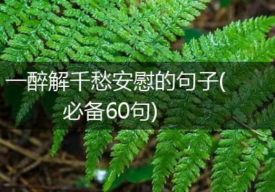 一醉解千愁安慰的句子(必备60句)