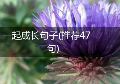 一起成长句子(推荐47句)