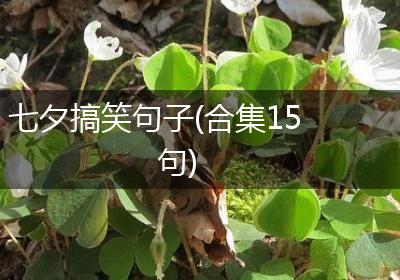 七夕搞笑句子(合集15句)