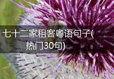 七十二家租客粤语句子(热门30句)