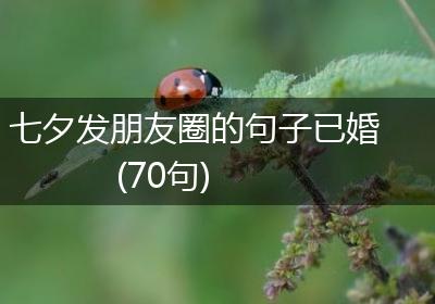 七夕发朋友圈的句子已婚(70句)