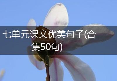 七单元课文优美句子(合集50句)