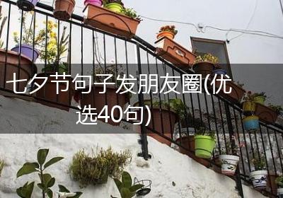 七夕节句子发朋友圈(优选40句)