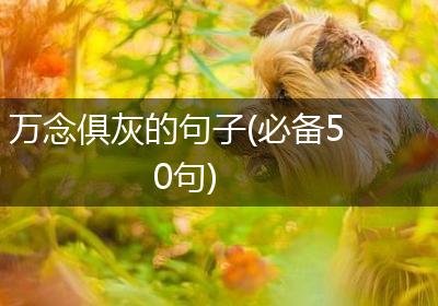 万念俱灰的句子(必备50句)