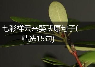 七彩祥云来娶我原句子(精选15句)