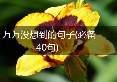 万万没想到的句子(必备40句)