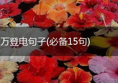 万登电句子(必备15句)