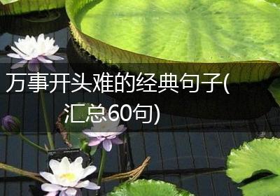 万事开头难的经典句子(汇总60句)
