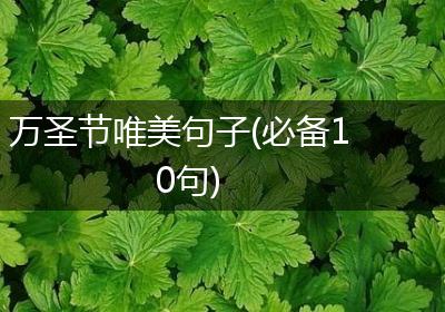 万圣节唯美句子(必备10句)