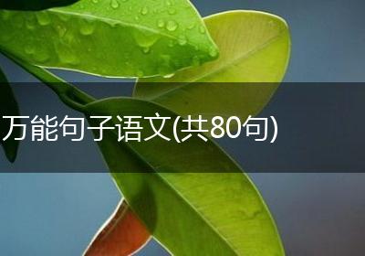万能句子语文(共80句)