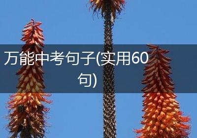 万能中考句子(实用60句)