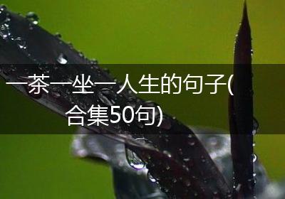一茶一坐一人生的句子(合集50句)