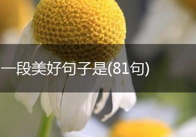 一段美好句子是(81句)