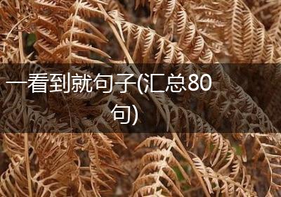 一看到就句子(汇总80句)