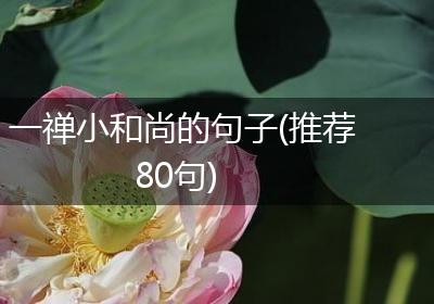 一禅小和尚的句子(推荐80句)