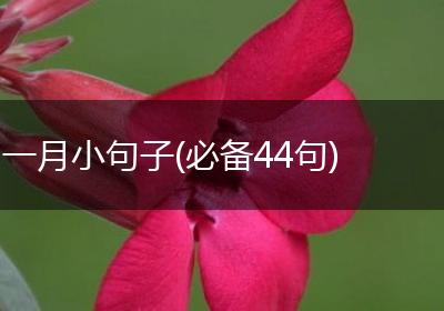 一月小句子(必备44句)