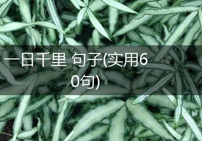一日千里 句子(实用60句)