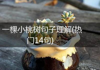 一棵小桃树句子理解(热门14句)