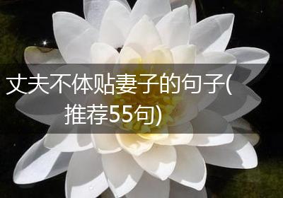 丈夫不体贴妻子的句子(推荐55句)