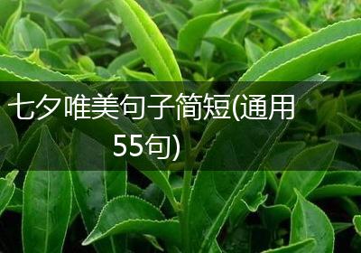 七夕唯美句子简短(通用55句)