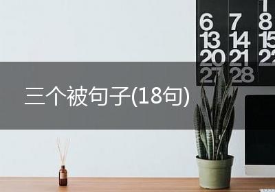 三个被句子(18句)