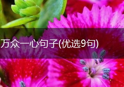 万众一心句子(优选9句)
