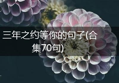 三年之约等你的句子(合集70句)