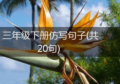 三年级下册仿写句子(共20句)