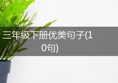 三年级下册优美句子(10句)