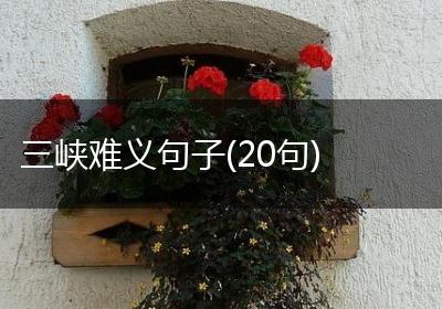 三峡难义句子(20句)