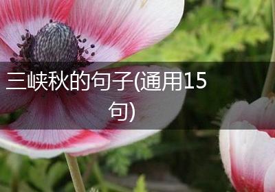 三峡秋的句子(通用15句)