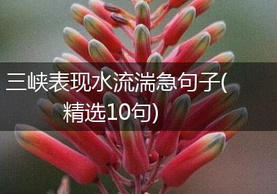 三峡表现水流湍急句子(精选10句)