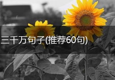 三千万句子(推荐60句)