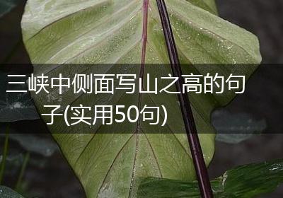 三峡中侧面写山之高的句子(实用50句)