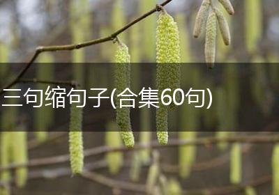 三句缩句子(合集60句)