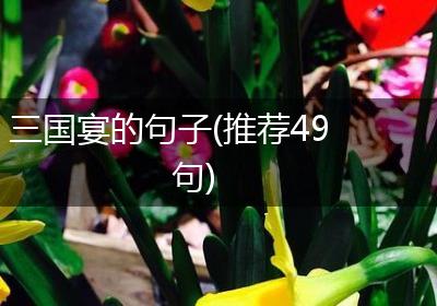 三国宴的句子(推荐49句)