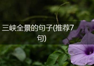 三峡全景的句子(推荐7句)