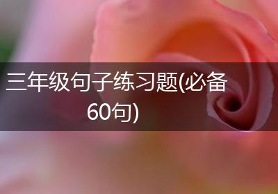 三年级句子练习题(必备60句)