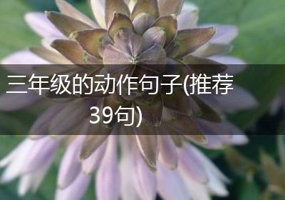 三年级的动作句子(推荐39句)