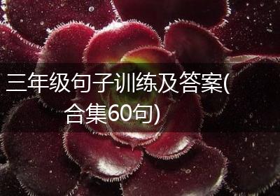 三年级句子训练及答案(合集60句)