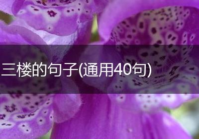 三楼的句子(通用40句)