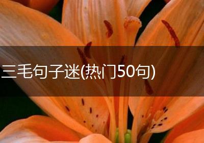 三毛句子迷(热门50句)