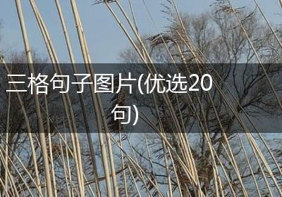 三格句子图片(优选20句)