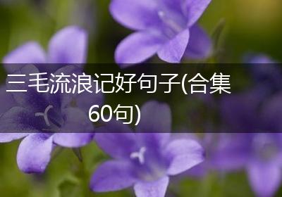 三毛流浪记好句子(合集60句)