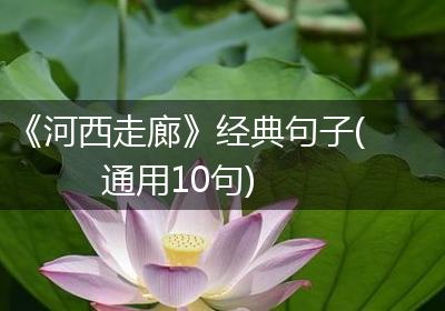 《河西走廊》经典句子(通用10句)