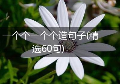 一个个一个个造句子(精选60句)