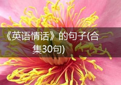 《英语情话》的句子(合集30句)